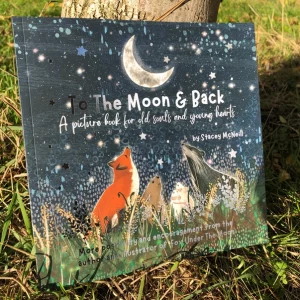 To the boon and back front cover image of the fox with friends looking up to the moon