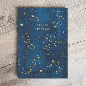 this is my year zodiac planner cover photo showing a blue cover with gold star constellations on the cover